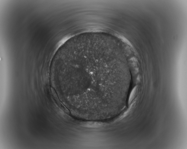 X0000086241081200704121929