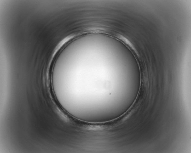 X0000086241082200704121929
