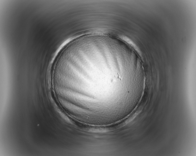 X0000086241083200704121929