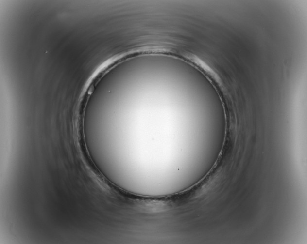 X0000086241085200704121929
