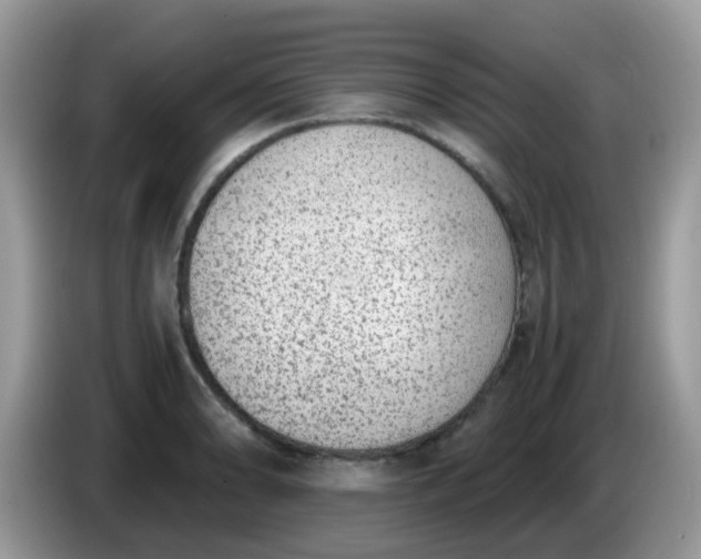 X0000086241086200704121929