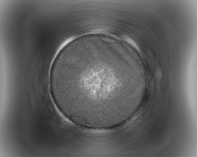 X0000086241087200704121929