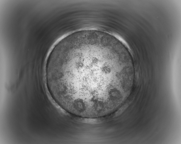 X0000086241088200704121929