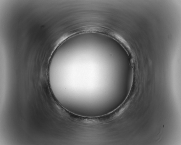 X0000086241089200704121929
