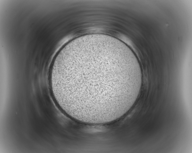 X0000086241090200704121929