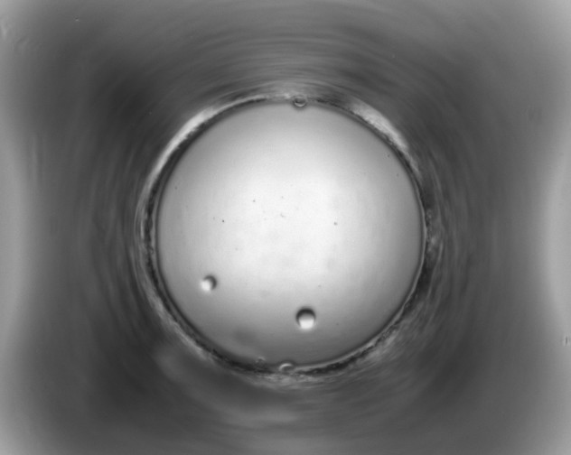 X0000086241091200704121929