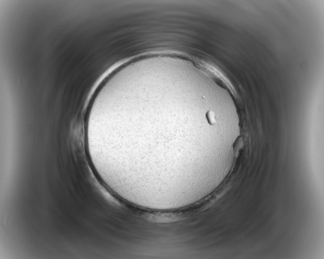 X0000086241092200704121929