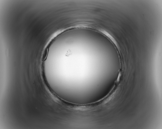 X0000086241093200704121929