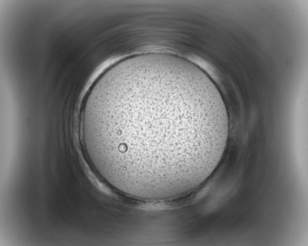 X0000086241094200704121929