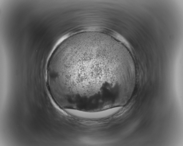 X0000086241095200704121929