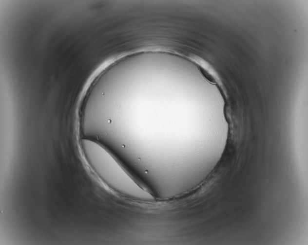X0000086241096200704121929