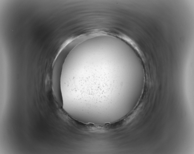 X0000086241097200704121929
