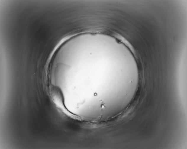 X0000086241099200704121929