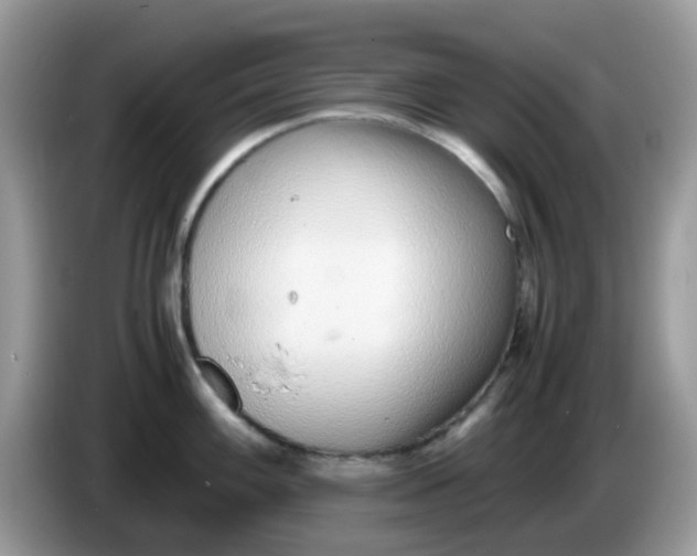 X0000086241100200704121929