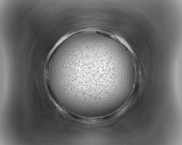 X0000086241101200704121929