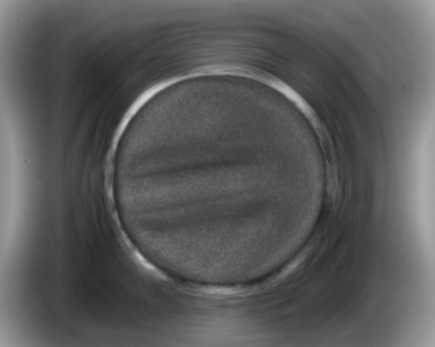 X0000086241102200704121929