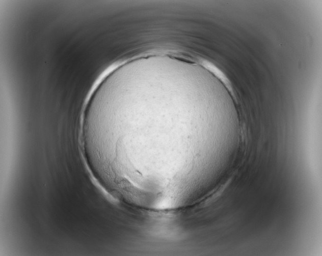X0000086241103200704121929