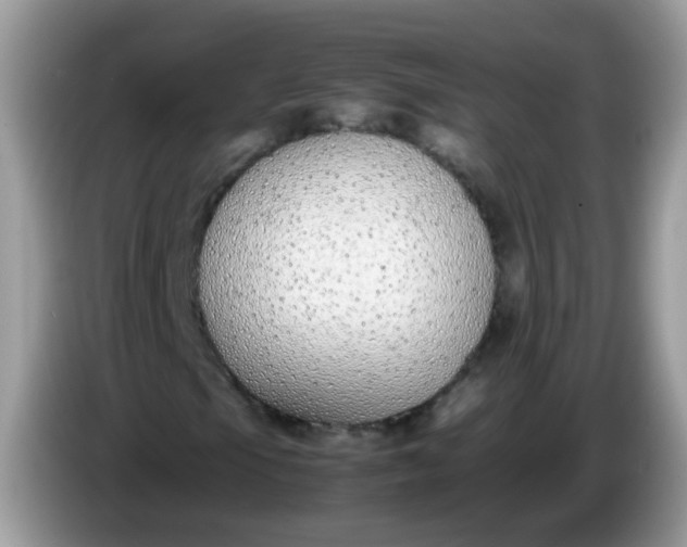 X0000086241105200704121928
