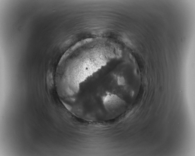 X0000086241106200704121928