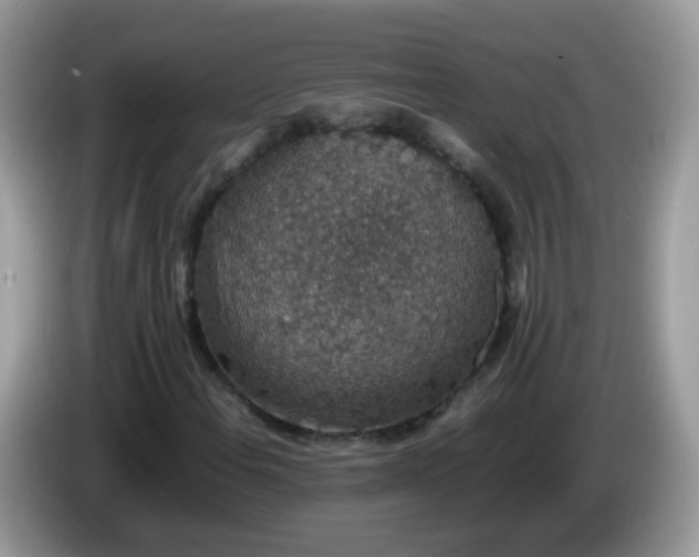 X0000086241108200704121928
