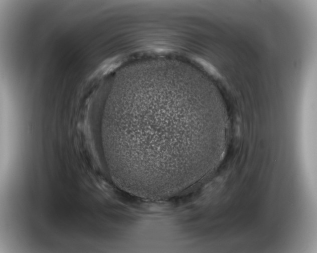 X0000086241110200704121928