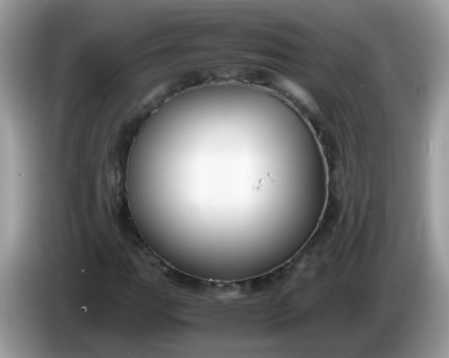 X0000086241111200704121928
