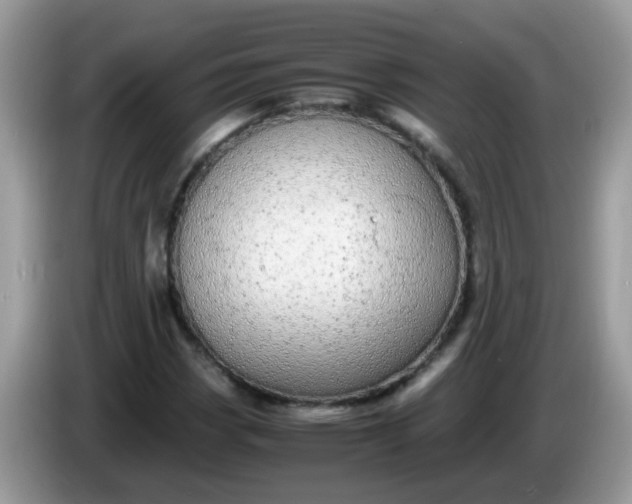 X0000086241113200704121928