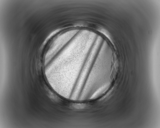 X0000086241115200704121928
