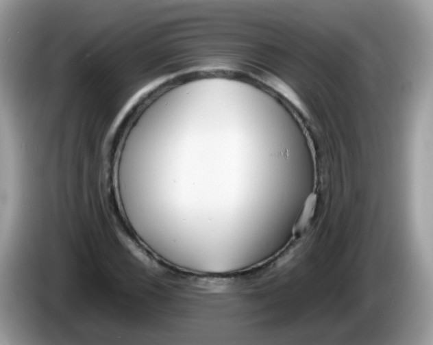 X0000086241116200704121928