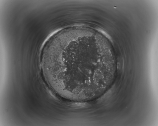 X0000086241117200704121928