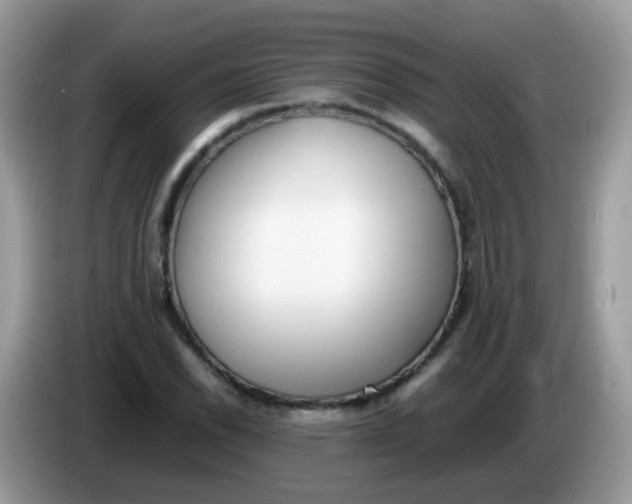X0000086241118200704121929