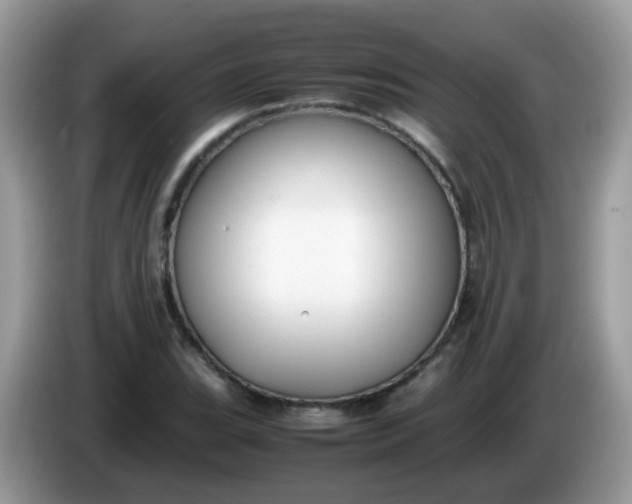 X0000086241119200704121929