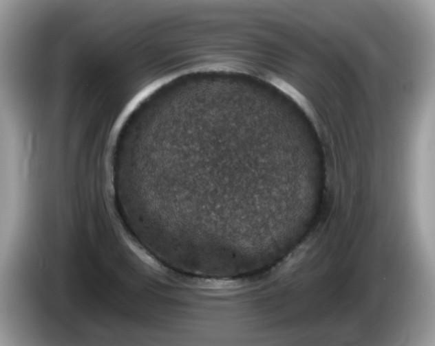 X0000086241120200704121929