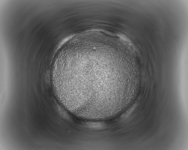 X0000086241121200704121929