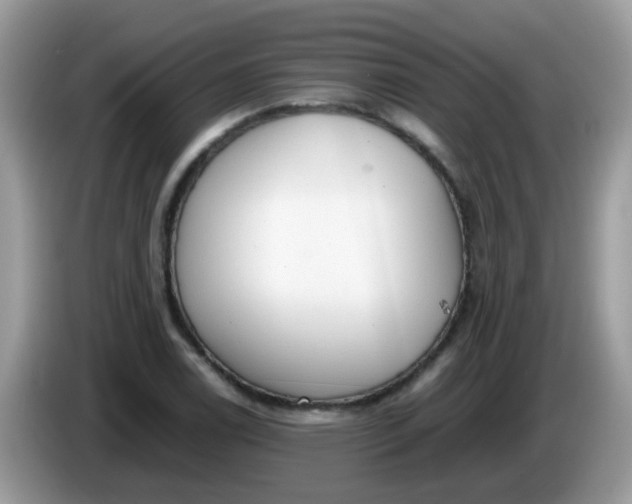 X0000086241122200704121929