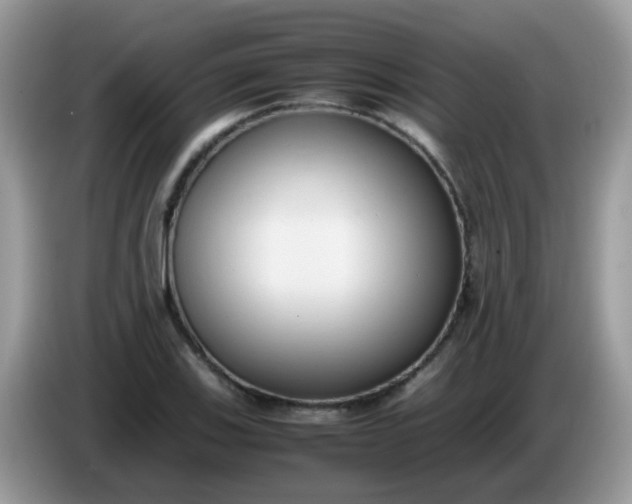 X0000086241123200704121929