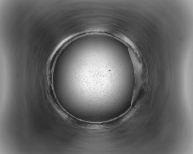 X0000086241124200704121929