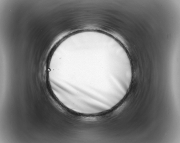X0000086241126200704121929