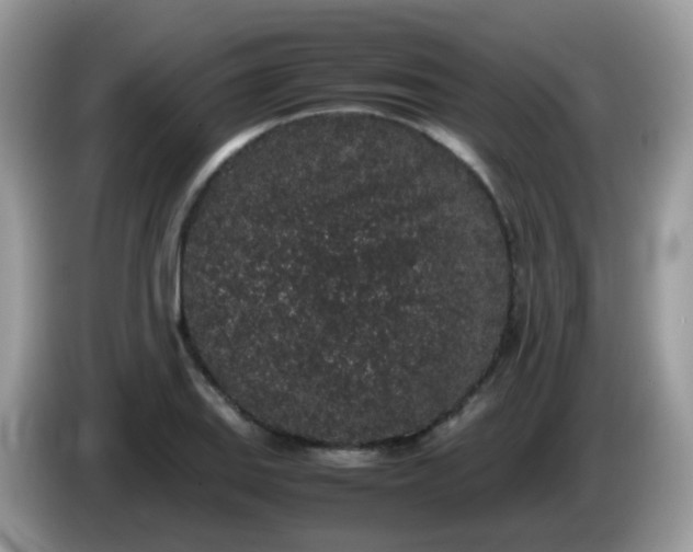 X0000086241127200704121929