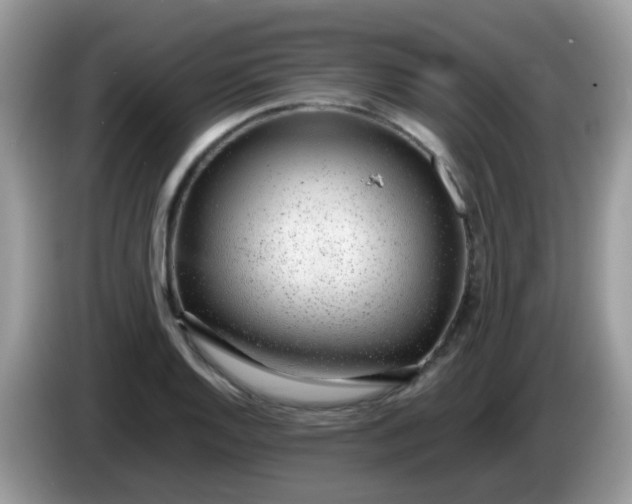 X0000086241128200704121929