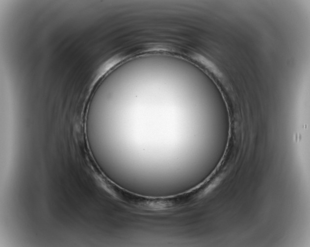 X0000086241129200704121929