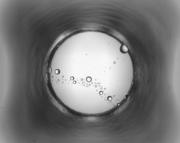X0000086241130200704121929