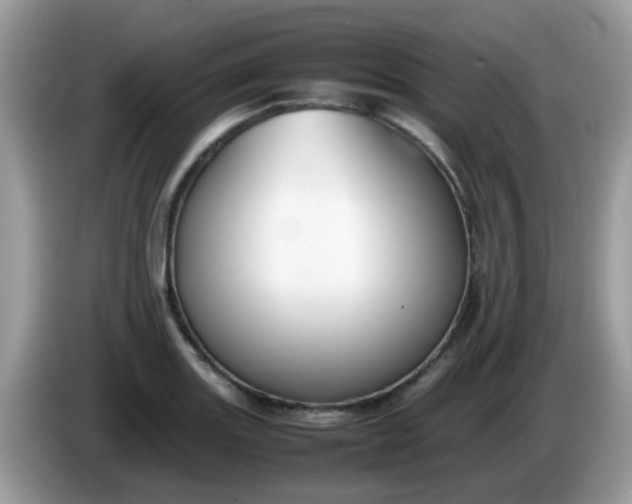 X0000086241131200704121929