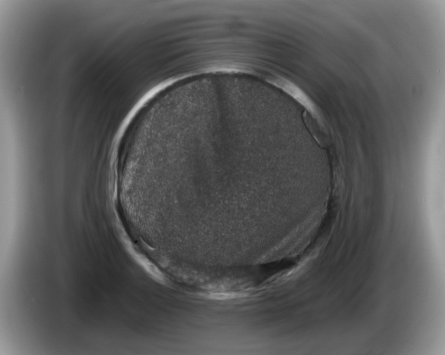 X0000086241132200704121929