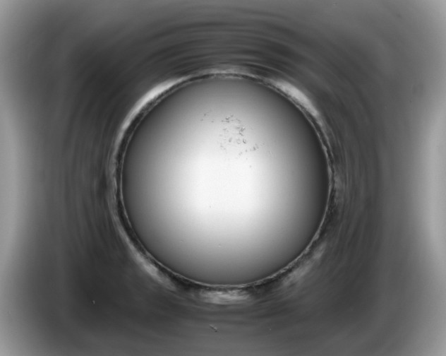 X0000086241133200704121929
