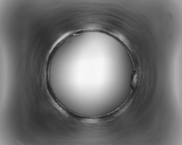 X0000086241134200704121929