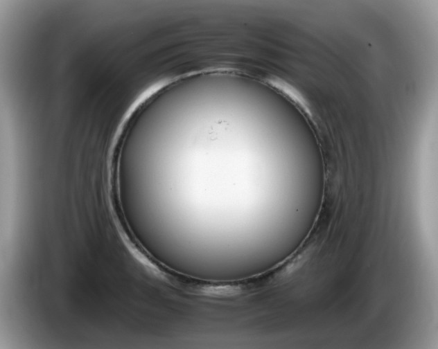 X0000086241135200704121929