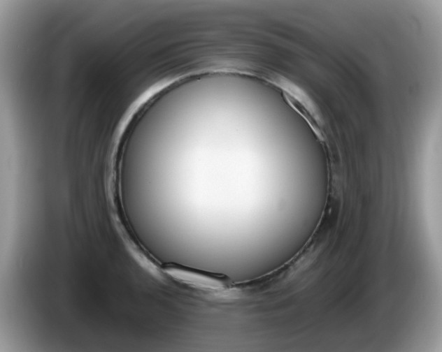 X0000086241136200704121929