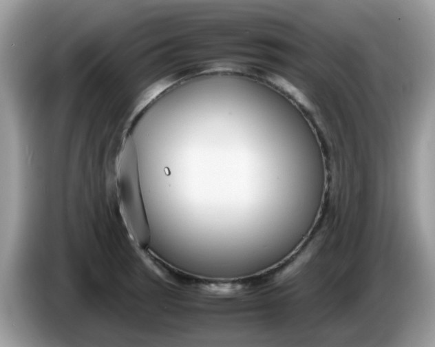 X0000086241137200704121929
