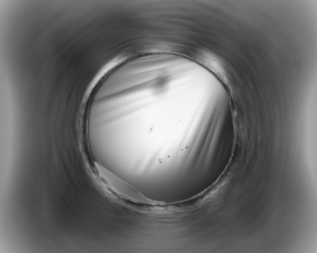 X0000086241138200704121929